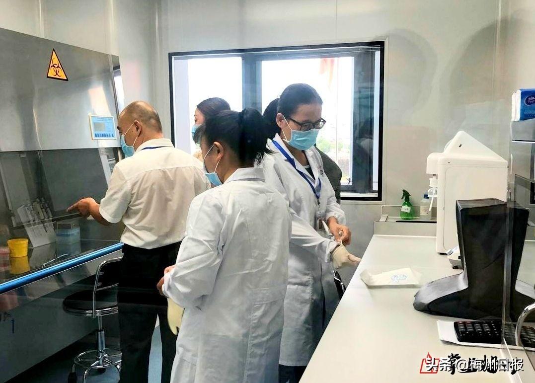 澳门三肖三码精准100%新华字典请全面释义、解释与落实、定量解答解释落实